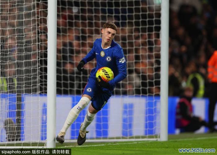 英超-帕尔默建功詹姆斯扳平 切尔西主场2-2战平伯恩茅斯