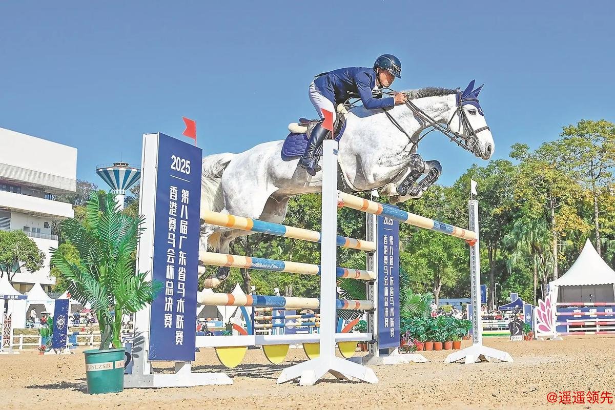 第八届广东省马术联赛总决赛将在广州举行