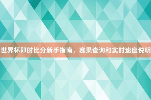 世界杯即时比分新手指南，赛果查询和实时速度说明